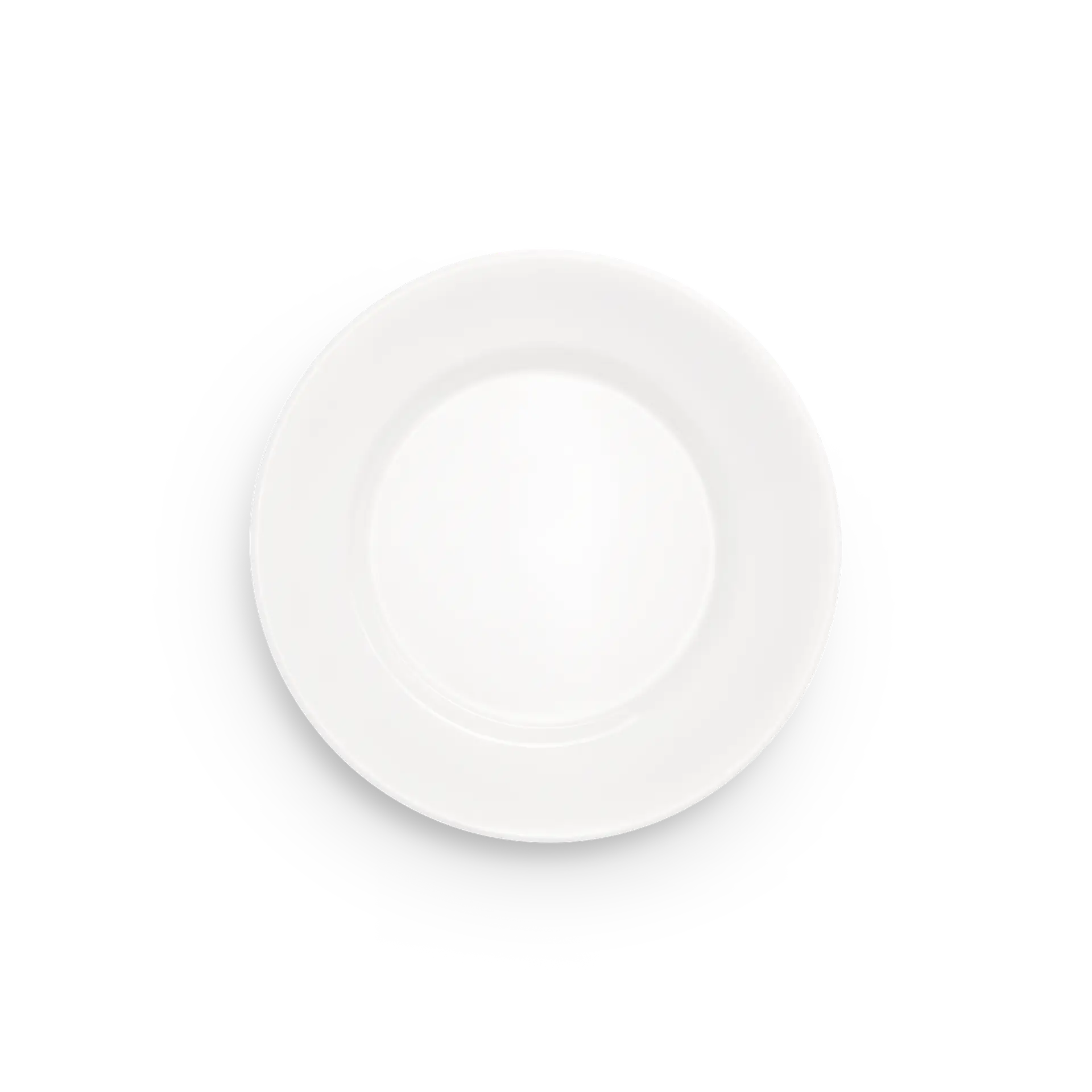 Basic Plate
